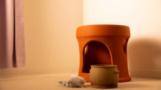 ゆらぎと巡るよもぎ蒸し体験