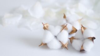 暮らし寄り添う布ナプキンの選択