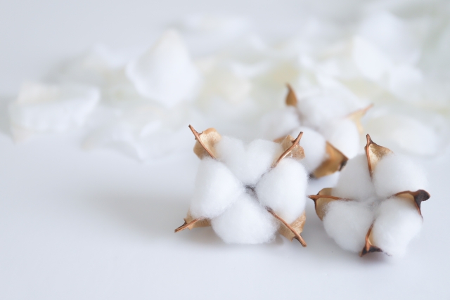 暮らし寄り添う布ナプキンの選択